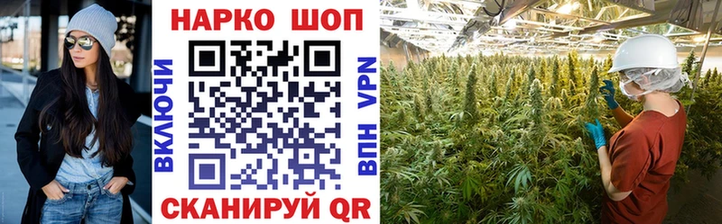 Где купить Алексеевка Alpha-PVP Меф Гашиш COCAIN