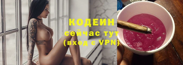 МДПВ Пересвет
